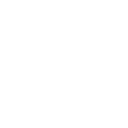 Spider Spider